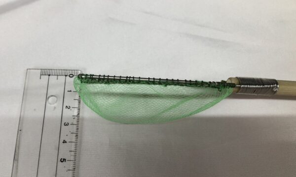 稚魚選別用タモ網Mサイズ - 画像 (3)
